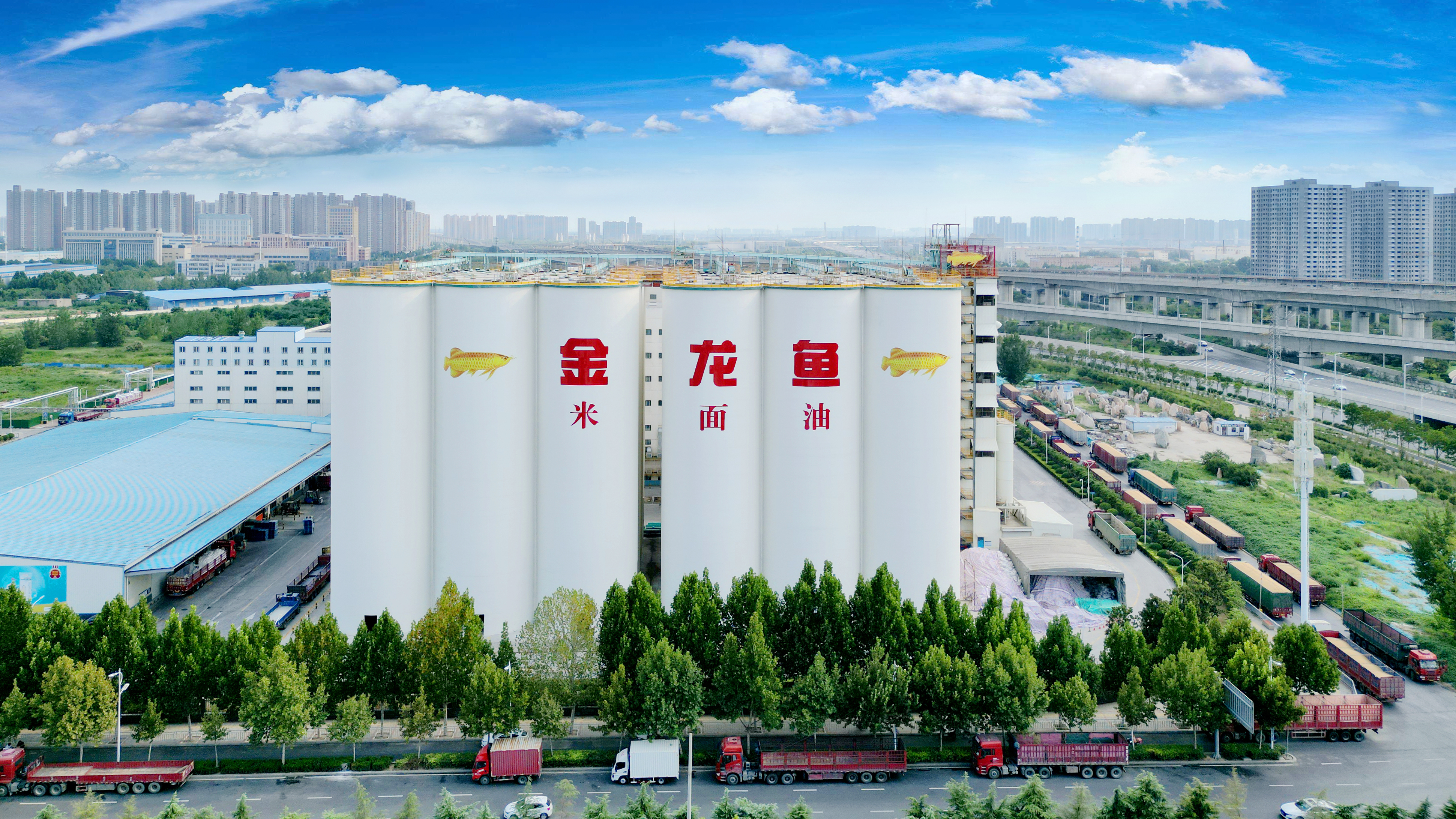 连任中国食物行业第一！yd2333云顶电子游戏嘉里yd2333云顶电子游戏再次入选标普全球《可一连生长年鉴》