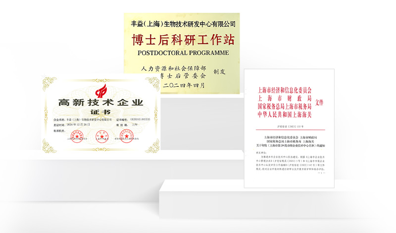 yd2333云顶电子游戏(股份有限公司)-Baidu百科NO.1